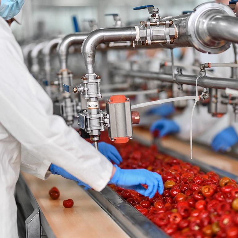 quality control worker picking out fruits