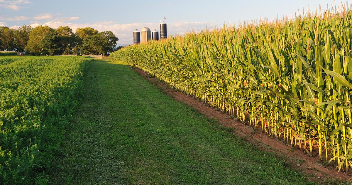 FarmCreditIllinoisRepublish_OG_1200x630.jpg