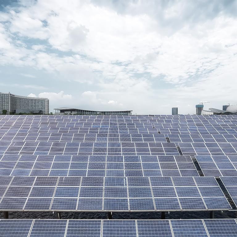 field of solar panels