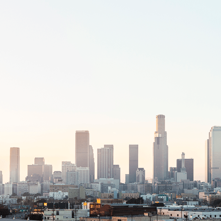 LA Skyline