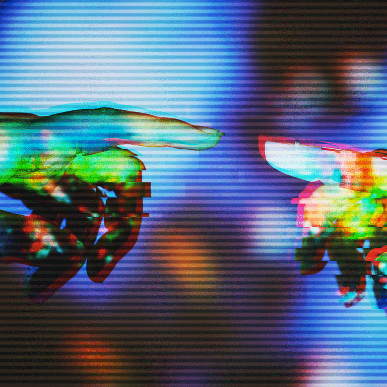 hands reaching to touch