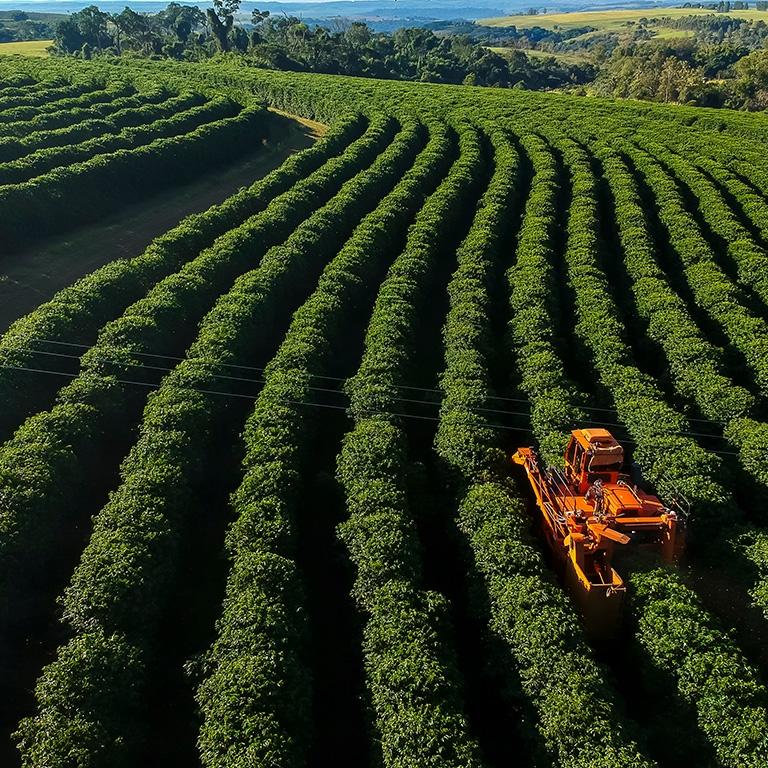 combine driving through green rows of fields