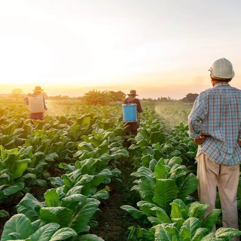 Ag Lenders Client Advisory Board