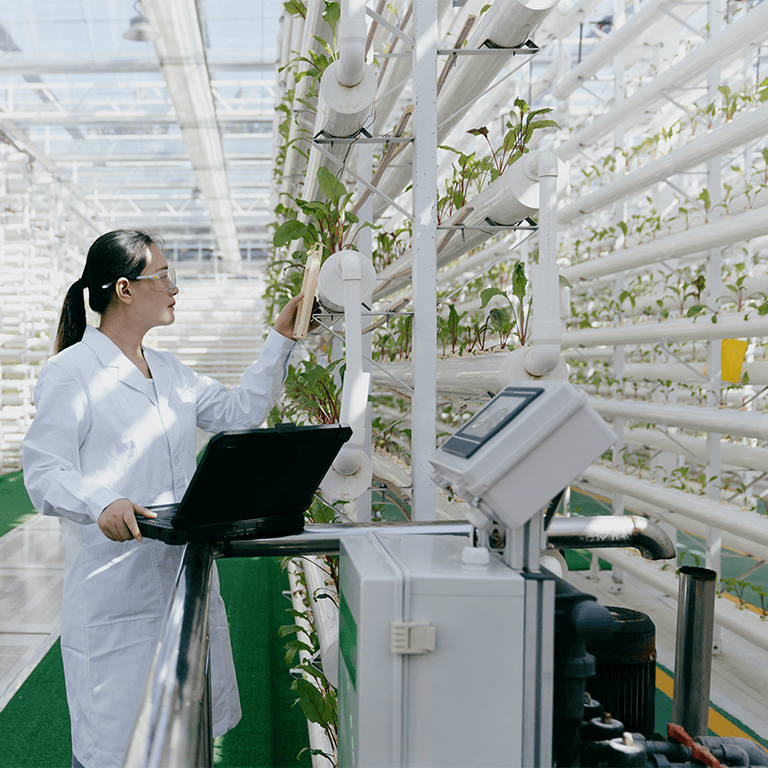 scientist growing plants in a facility