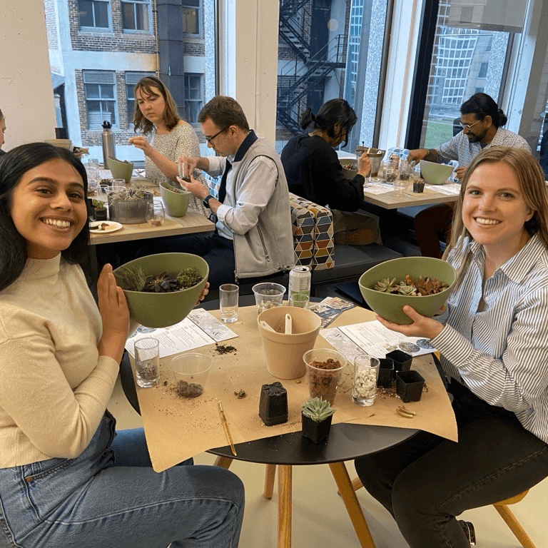 People planting succulents into bowls